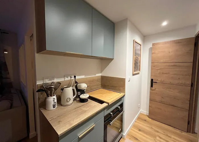 Renove Au Centre Des 2 Alpes, Proche Pistes - Fr-1-546-56 * לס דה-אלפס