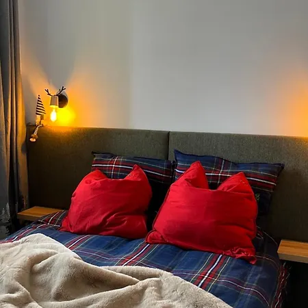 Apartment Renove Au Centre Des 2 Alpes, Proche Pistes Les Deux Alpes