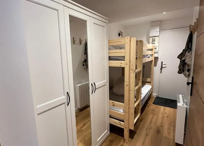 Renove Au Centre Des 2 Alpes, Proche Pistes - Fr-1-546-56 Daire Les Deux Alpes