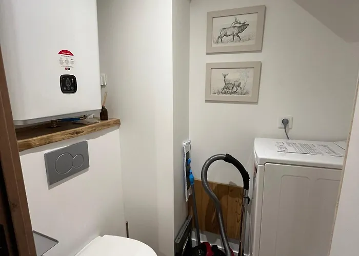 Renove Au Centre Des 2 Alpes, Proche Pistes - Fr-1-546-56 * Les Deux Alpes